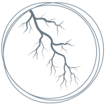 Besenreiser entfernen